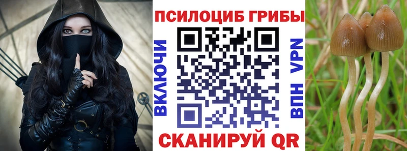 Галлюциногенные грибы мицелий  купить   Очёр 