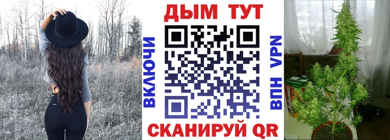 Конопля Bruce Banner  Очёр 